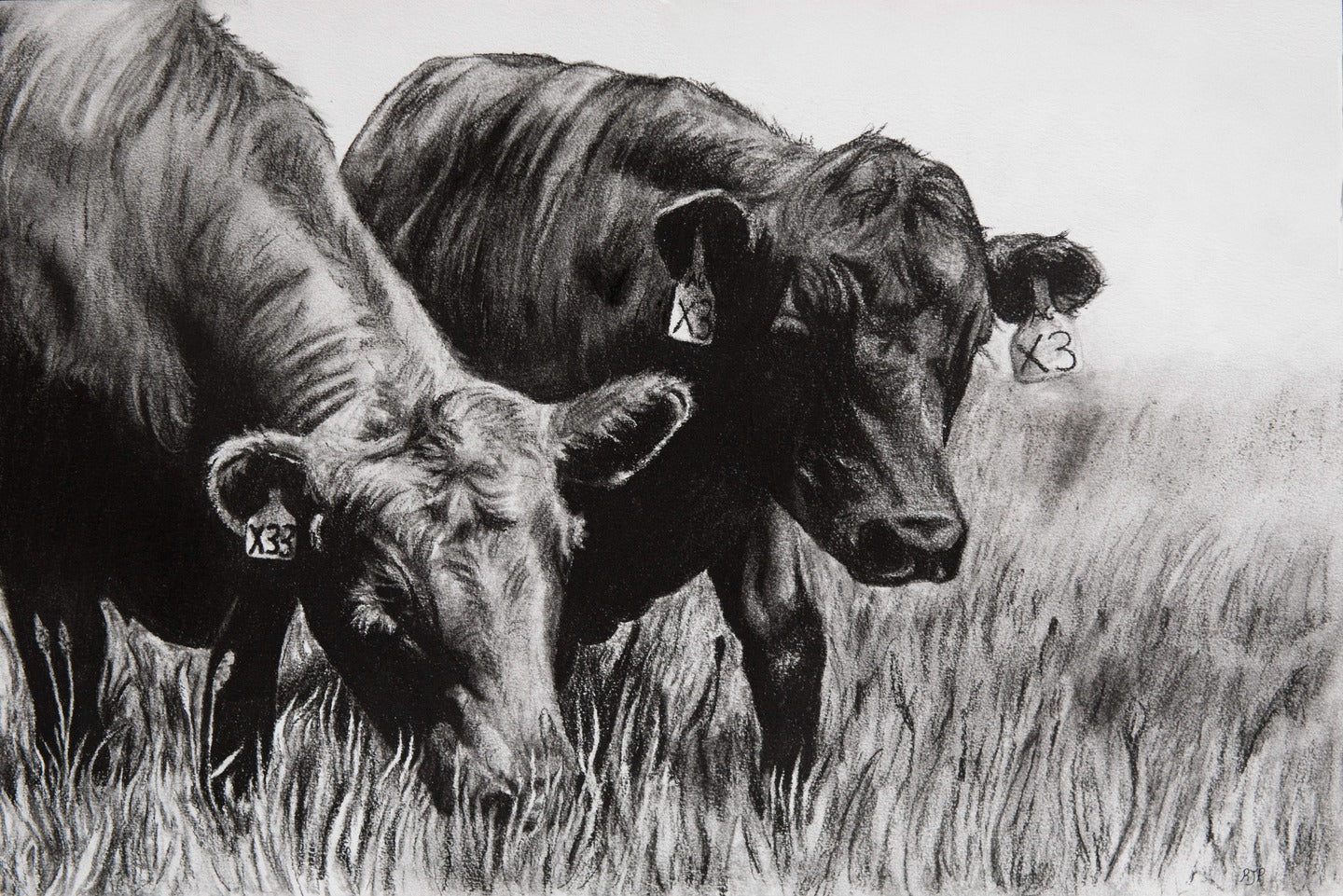 Fresh Grass Original