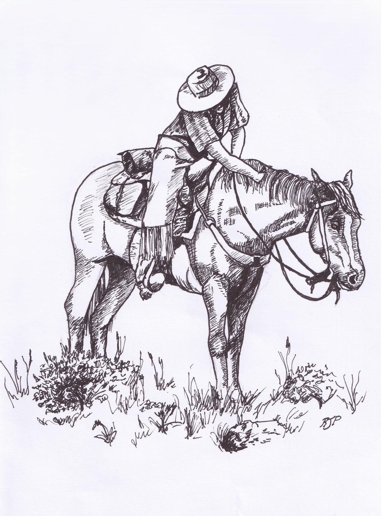 Cowhand's Break